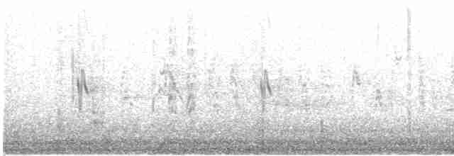 "Шишкар ялиновий (Northeastern, або тип 12)" - ML615095215