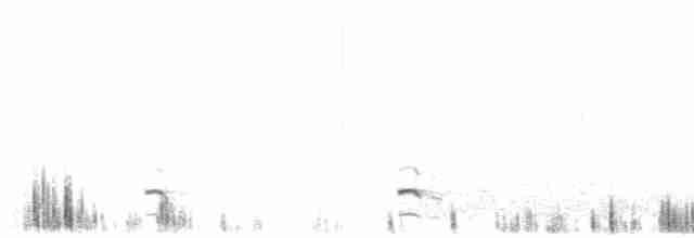 Great Grebe - ML615097275