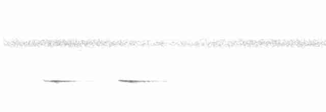 Шпалюшок амазонійський (підвид luscinia) - ML615101917
