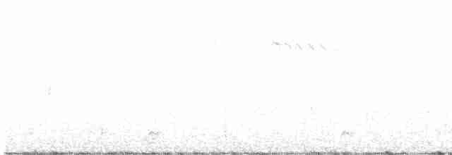 Northern Pygmy-Owl - ML615112141