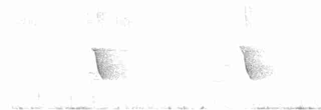 Елепайо гавайський (підвид ridgwayi) - ML615114389