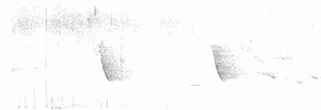 Елепайо гавайський (підвид ridgwayi) - ML615114455