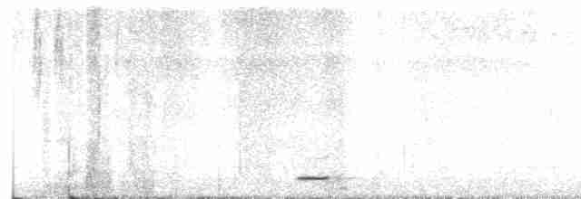 Weißbrustkleiber - ML615115829