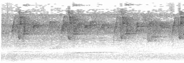 Большеклювый колибри-отшельник - ML615115994