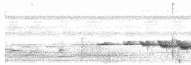 Strichelschulter-Ameisenschnäpper - ML615116258