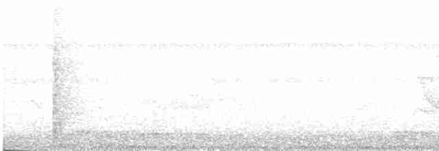 hrdlička kropenatá - ML615121323