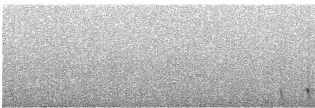 Gray Nightjar - ML615124566