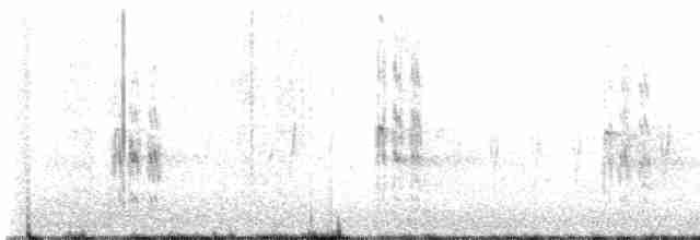 strakapoud bělohlavý - ML615124614