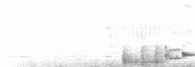 Тирч плямистоволий - ML615124622