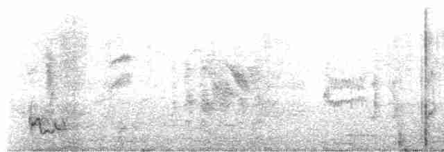 Тирч плямистоволий - ML615124910
