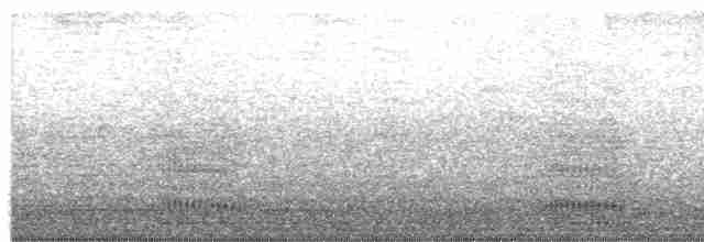 Corbeau à nuque blanche - ML615125033