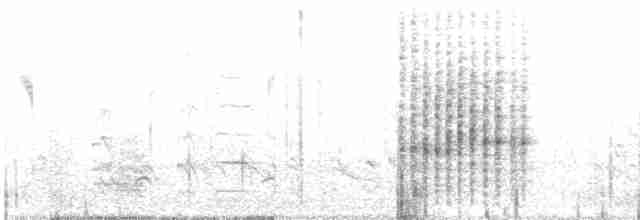 Clamorous Reed Warbler - ML615127481