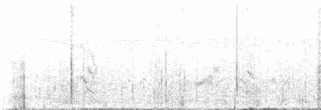Lavandera Cetrina - ML615127501
