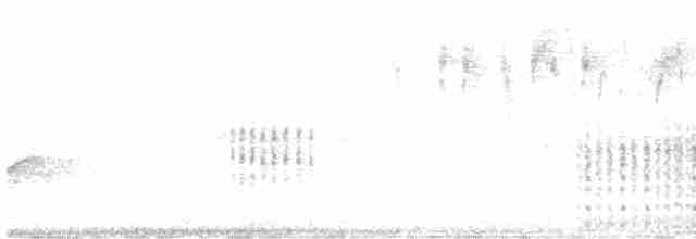Spotless Crake - ML615127717