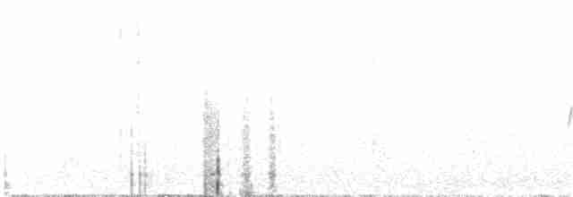 Седоголовая горихвостка - ML615127829