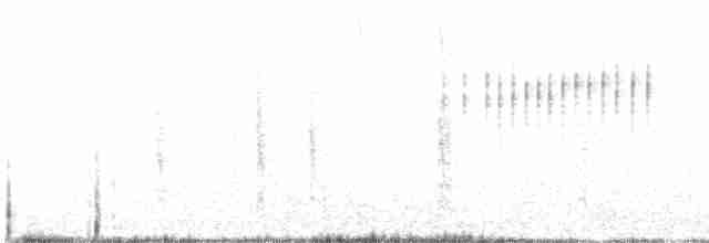 Горихвістка синьолоба - ML615127848