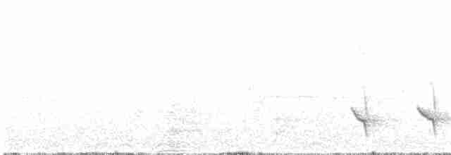 Серокрылый дрозд - ML615127959