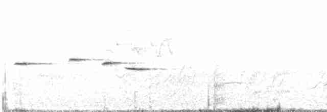 Віялохвістка білогорла - ML615128062