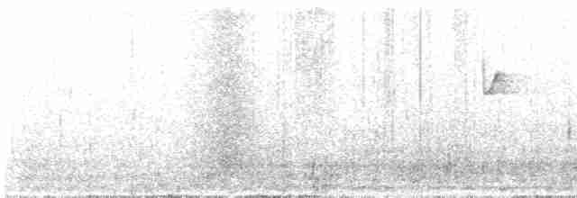 Красноголовая короткохвостка - ML615128102