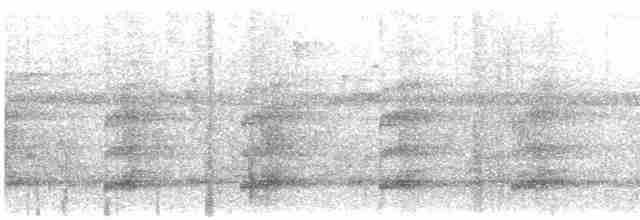 Keel-billed Toucan - ML615130147