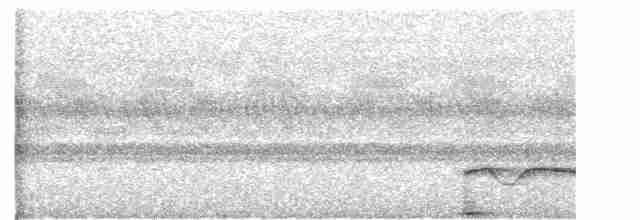Great Eared-Nightjar - ML615130791