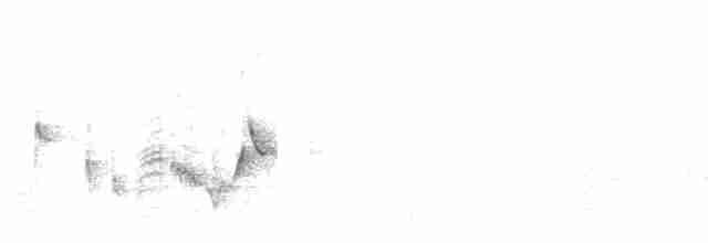 White-eyed Vireo - ML615131753