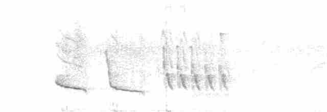 Черноспинный толстонос - ML615132201