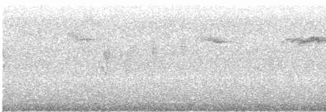 sitronflueskvett (flavigaster gr.) - ML615132421