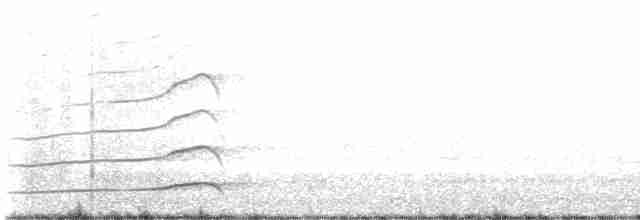 Сова плямиста - ML615132984