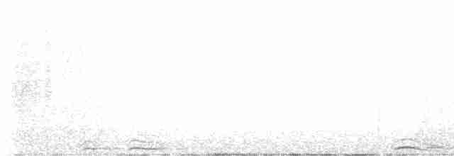 Сова плямиста - ML615132985