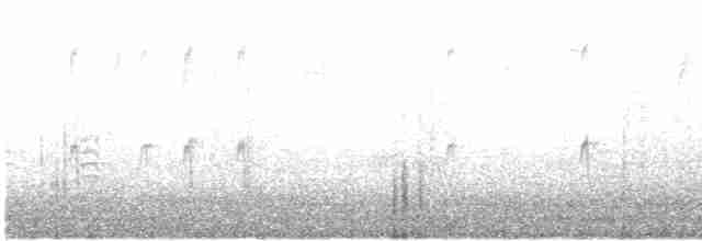 "Шишкар ялиновий (Northeastern, або тип 12)" - ML615135053