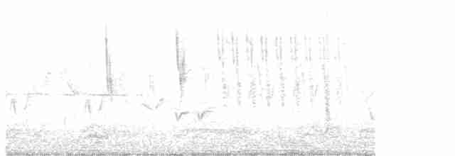 Тростниковый крапивник - ML615135060
