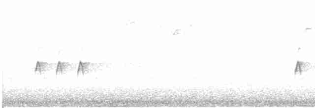 "Шишкар ялиновий (Northeastern, або тип 12)" - ML615135698
