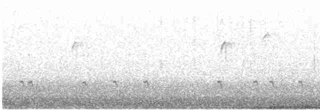 Bec-croisé des sapins (type 12) - ML615135702