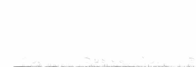 Sharp-tailed Grouse - ML615136234