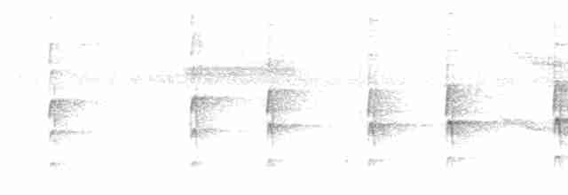 Сероголовый бентеви - ML615137213