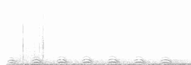 Сова плямиста - ML615137318