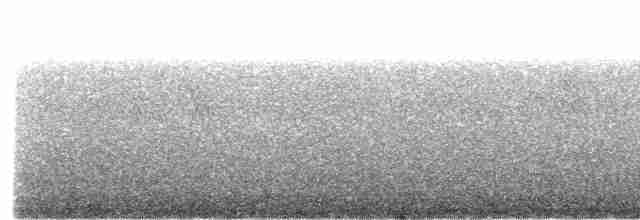 Серобровая курутия - ML615137529