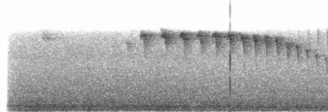 Gri Kaşlı Dikenkuyruk - ML615137530