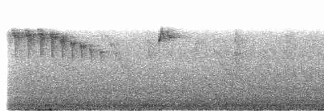 Gri Kaşlı Dikenkuyruk - ML615137532