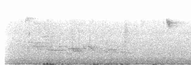 Kara Gagalı Koca Vireo - ML615137903