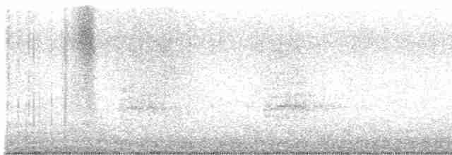 Белоглазая аратинга - ML615138073
