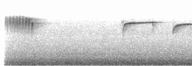 Тиран-крихітка еквадорський - ML615138135