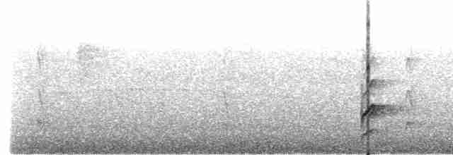 Mérulaxe microptère - ML615138285