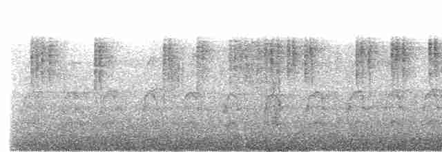 Колібрі плямистоволий - ML615138354