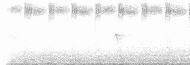 Алленов колибри - ML615138379