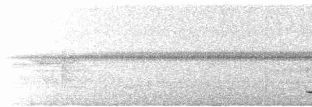 Tinamou à grands sourcils - ML615138889
