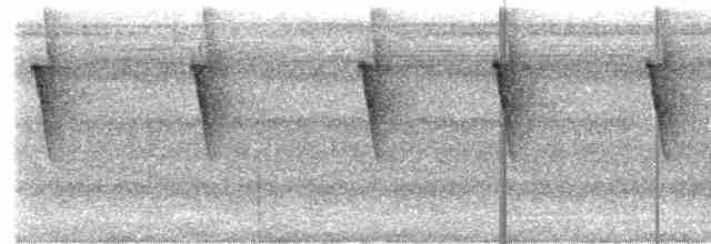 Белобородый колибри-отшельник - ML615139219