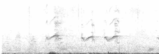 Бурокрылая ржанка - ML615139957