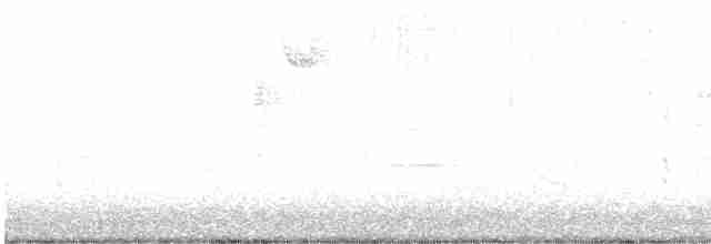 Paruline verdâtre - ML615140028